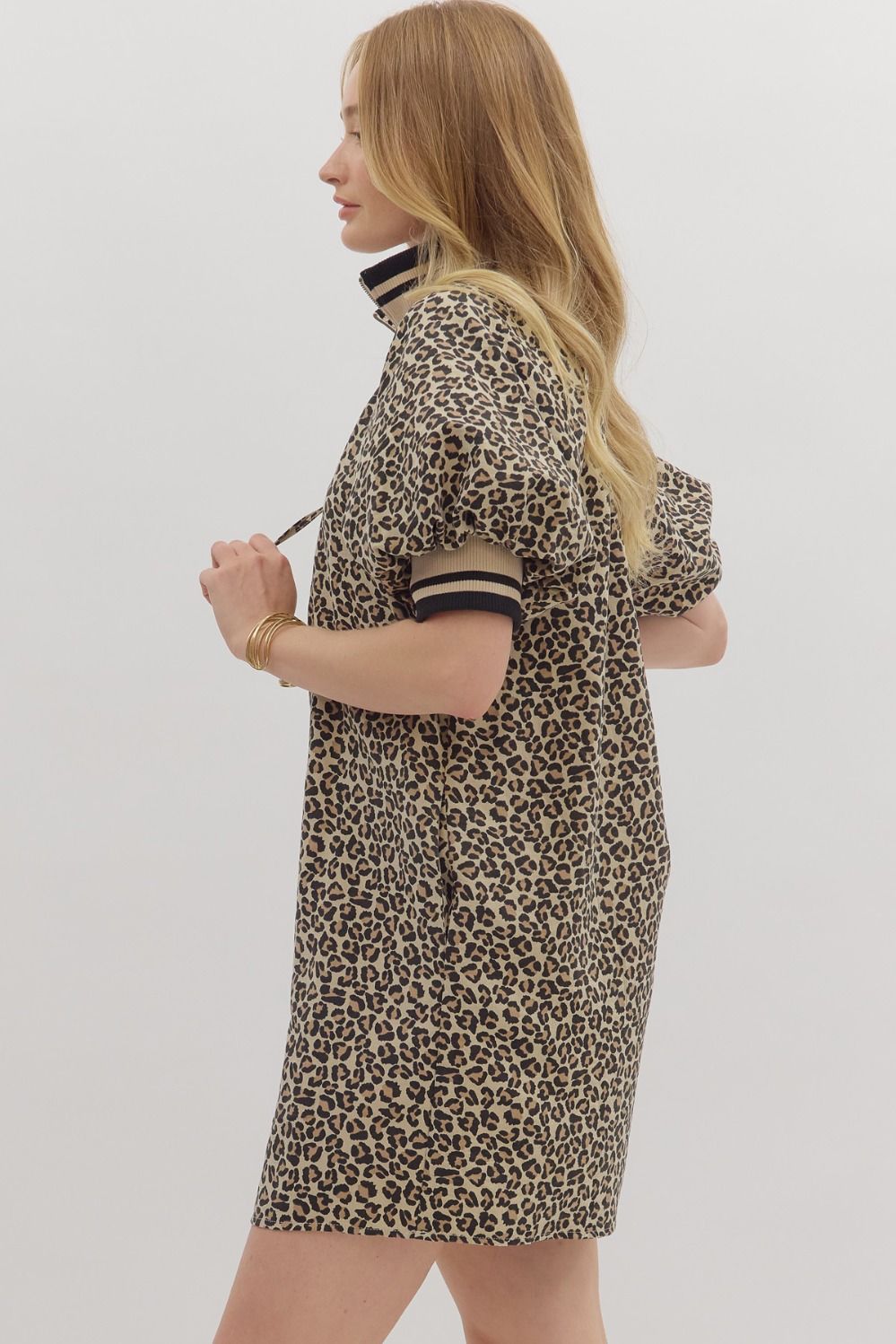 Leopard Print Mini Dress