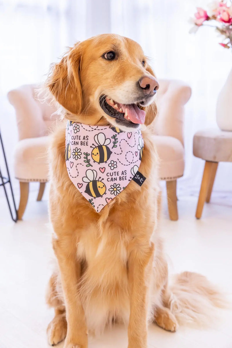 Dog fall discount bandana