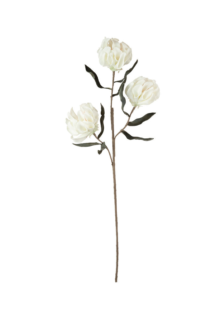 White Bloom Stem