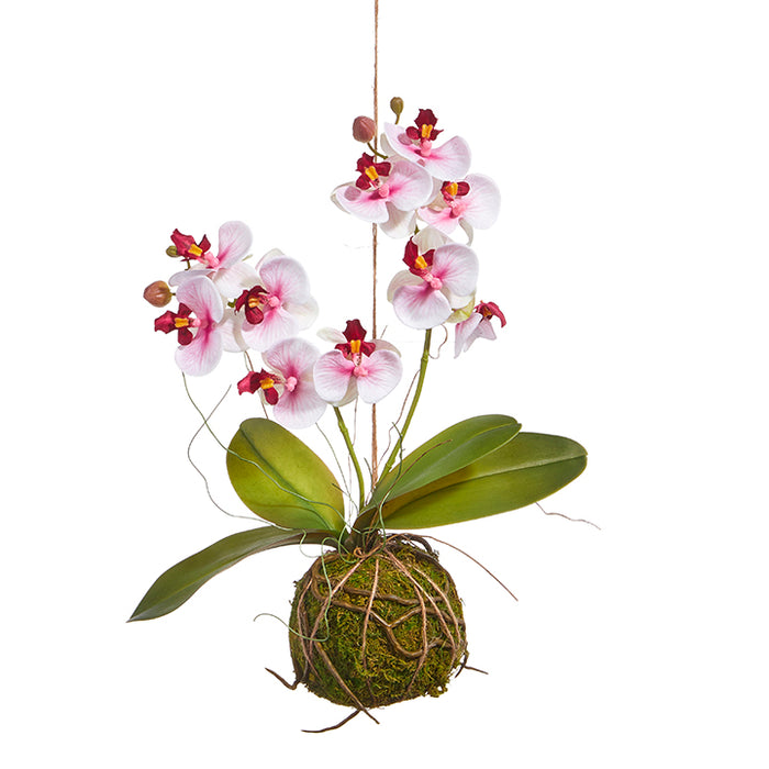 Real Touch Orchid
