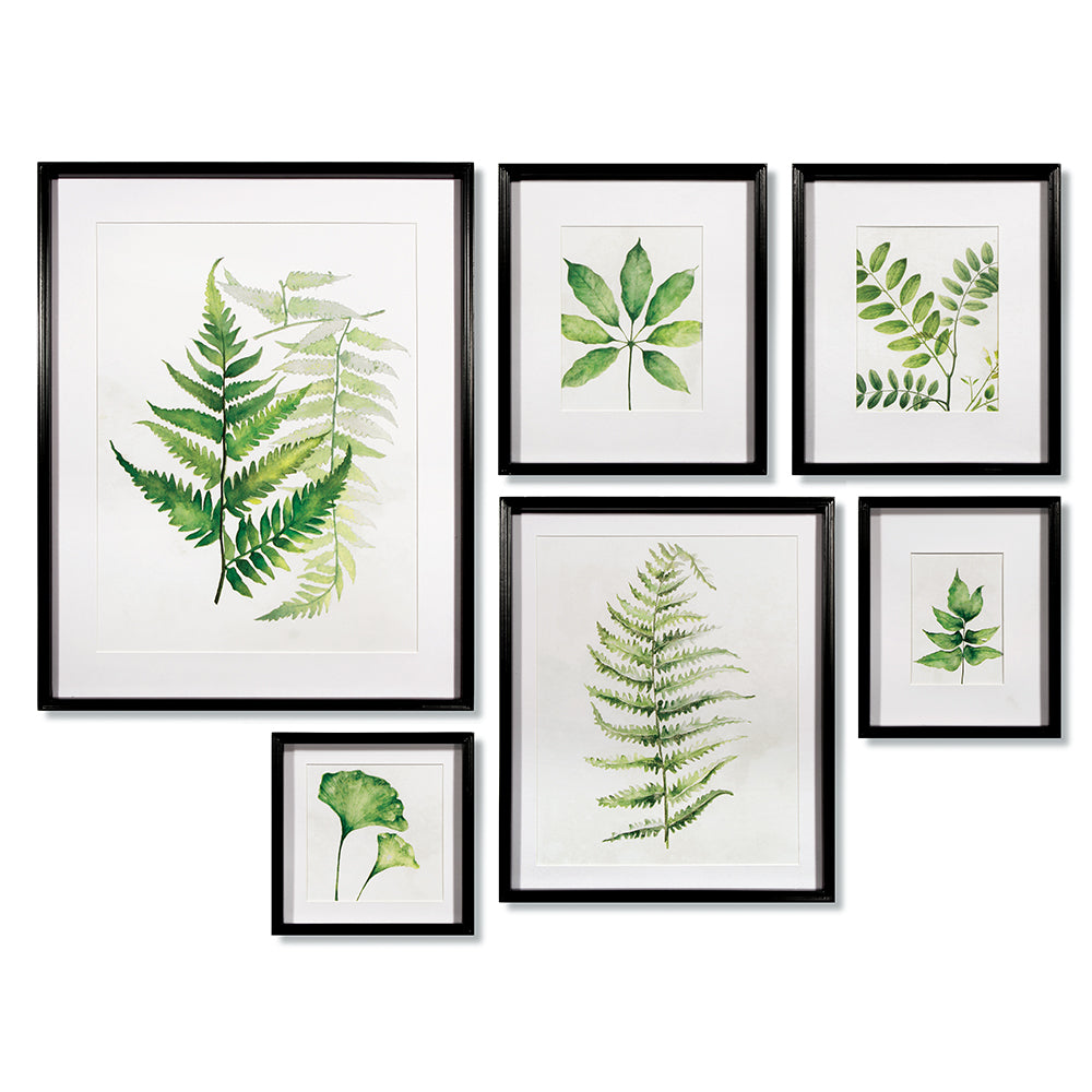 Leaf Study Watercolor Gallery