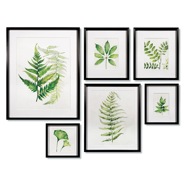 Leaf Study Watercolor Gallery