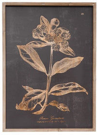 Framed Botanical Print
