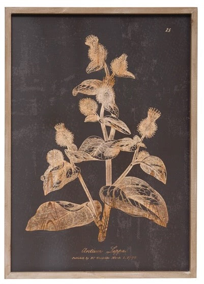 Framed Botanical Print