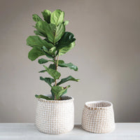 Seagrass Basket